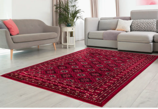 Modern and Classic Design for Home Decor Oriental Area Rug
