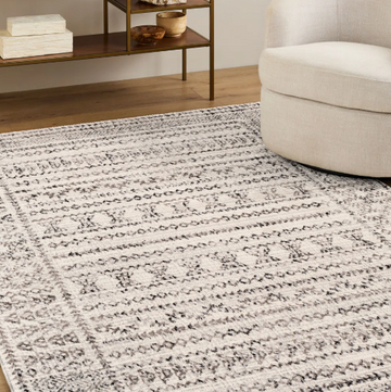 Modern Area Rug – Contemporary Non-Shedding, Stain Resistant
