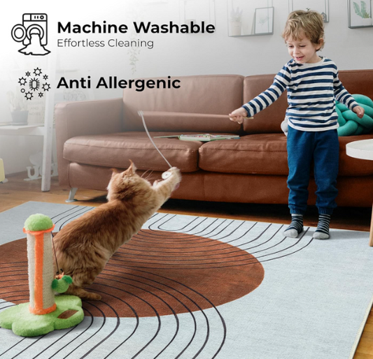 Machine Washable Rug – Non Slip Cotton Area Rug